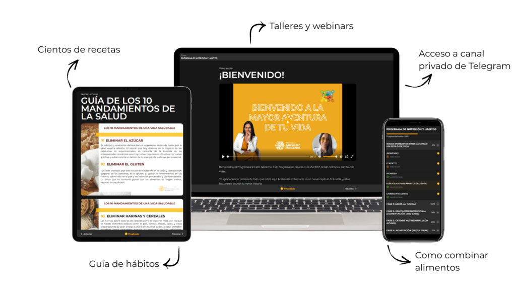 programa ancestro moderno